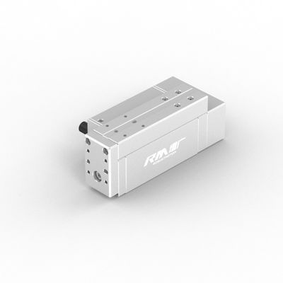 RobustMotion RM-RPLA Электрический промышленный линейный приводящий механизм с интегрированным контроллером, максимальная выходная сила 300N